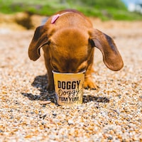 Pet-Pleasing Frozen Treats