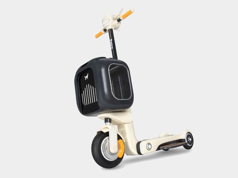 Pet-Friendly Scooter Designs