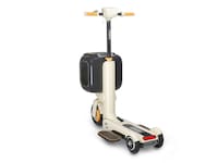 Pet-Friendly Scooter Designs Image 7