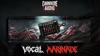 Vocal Processing Plug-Ins Image 1