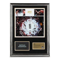 Collectible Sports Canvases