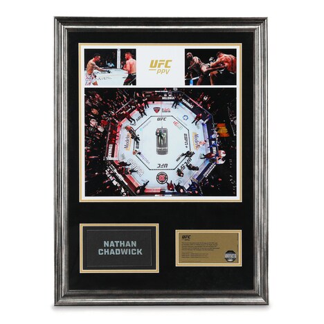 Collectible Sports Canvases