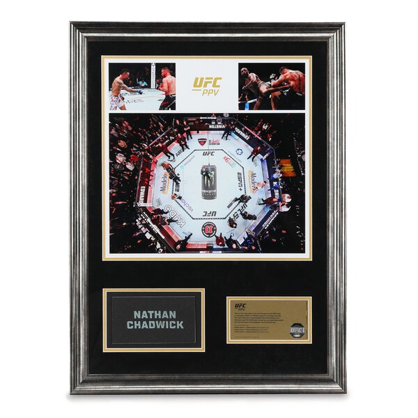 Collectible Sports Canvases