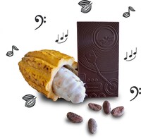 Musically Paired Chocolates