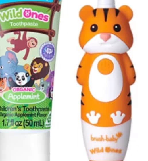 Rechargeable Childrens Toothbrushes