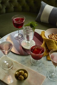 Artful Complex Mixology Glassware Image 3