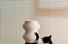 Feline-Friendly Scratch Posts