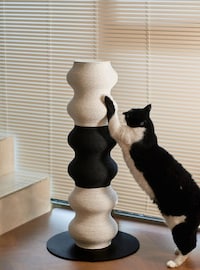 Feline-Friendly Scratch Posts Image 1