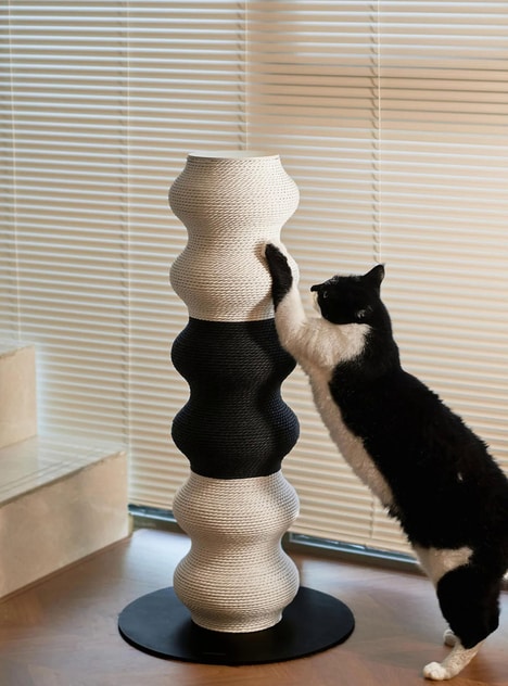 Feline-Friendly Scratch Posts