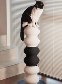 Feline-Friendly Scratch Posts Image 2