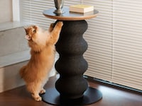 Feline-Friendly Scratch Posts Image 3