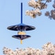 Highly Functional Bird Feeders Image 2