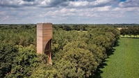 Bat-Friendly Forested Watchtowers