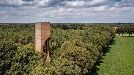 Bat-Friendly Forested Watchtowers