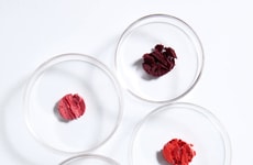 Microbiome-Friendly Beauty Sticks