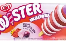 Marshmallow-Infused Ice Creams