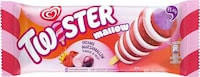 Marshmallow-Infused Ice Creams