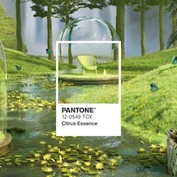 Limited-Edition Artistic Collections Image 7