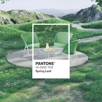 Limited-Edition Artistic Collections Image 8
