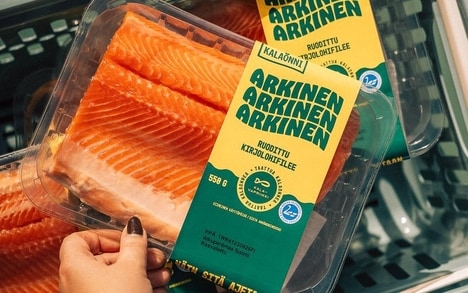 Insect Protein-Fed Trout