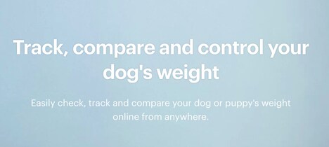 Dog Weight Trackers