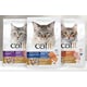 Premium Dry Cat Foods Image 1