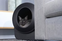 Smart Automatic Litter Boxes Image 1