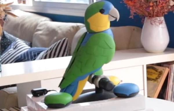 Robotic AI Parrot Companions