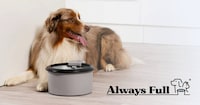 Self-Monitoring Pet Bowls