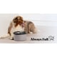 Self-Monitoring Pet Bowls Image 1