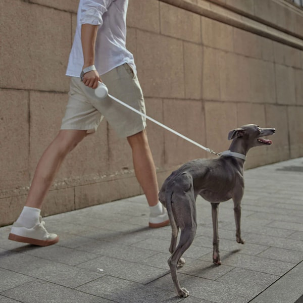 Smart Retractable Leashes