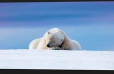 All-in-One Image Management