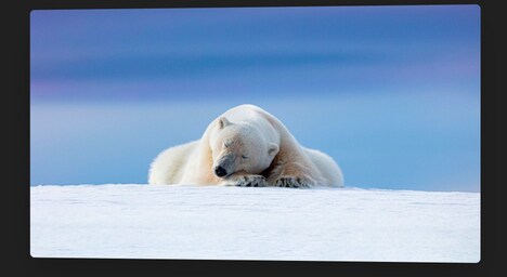 All-in-One Image Management