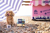 Plant-Based Dog Ice Creams