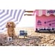 Plant-Based Dog Ice Creams Image 1