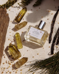 Resinous Earthy Fragrances Image 1