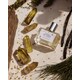 Resinous Earthy Fragrances Image 1