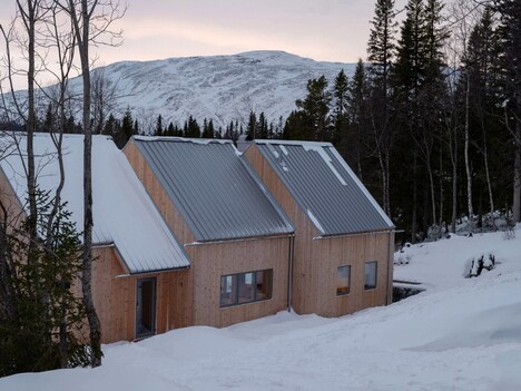 Swedish Mountain Timber Homes