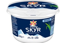 Adult-Targeted Icelandic Yogurts