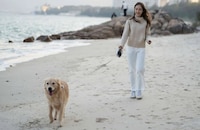 Intuitive Intelligent Pet Leashes Image 1