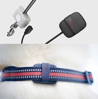 Intuitive Intelligent Pet Leashes Image 4