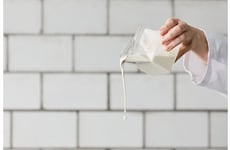 Cream-Like Plant-Based Food Ingredients