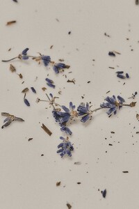 Lavender-Inspired Luxury Bags Image 5