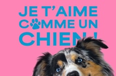 Dog-Focused Retail Experiences