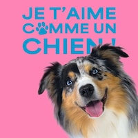 Dog-Focused Retail Experiences Image 1