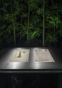 Bamboo-Focused Luxury Fashion Exhibitions Image 3