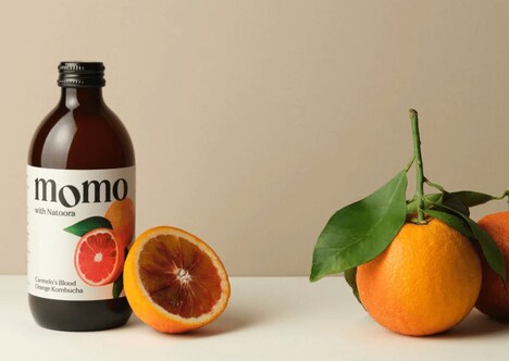 Seasonal Citrus Kombuchas