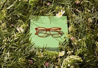 Stylish Everyday Frames