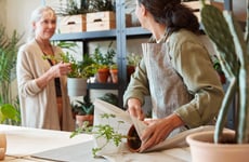 Small Business Retail Spaces