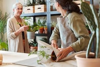 Small Business Retail Spaces Image 1